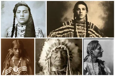 И будет рыдать земля: Как у индейцев отняли Америку — купить книгу Питера  Коззенса на сайте alpinabook.ru