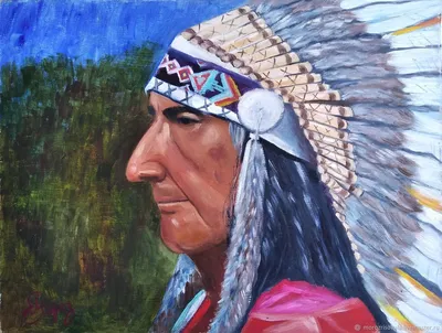 Индейцы прерий Северной Америки: в николаевском музее открылась новая  выставка (фоторепортаж)