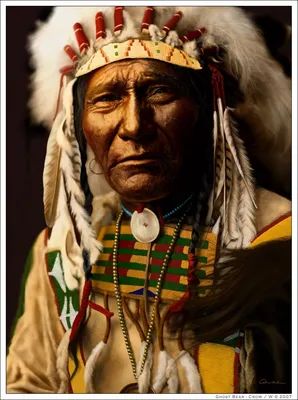 Иллюстрация 33 из 35 для Индейцы. Воины-индейцы Северной Америки  (1500-1890) - Крис Макнаб | Лабиринт -
