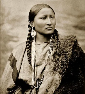 Шарлотта фон Трёльтш: «Индейцы Северной Америки» | Феникс