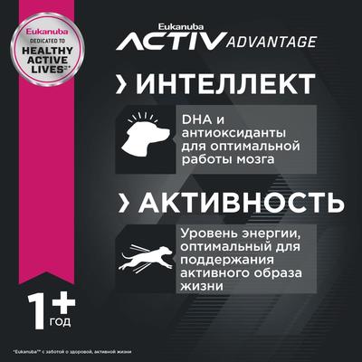 Настольная игра \"Эмоциональный интеллект\" купить в интернет-магазине  MegaToys24.ru недорого.