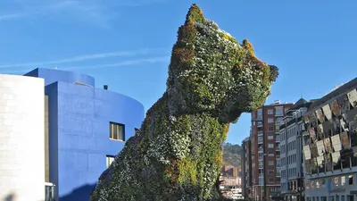 Испания: Бильбао - сепаратизм, современное искусство и летающий паром