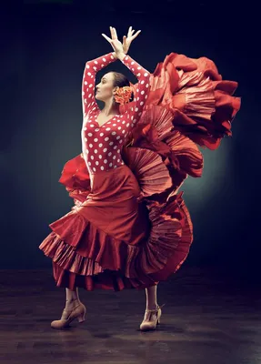 Фламенко! Танец родом из Испании. | Обо всем и ни о чем | Дзен
