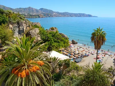 Spain with kids: the best beaches, attractions and cities for families -  Lonely Planet