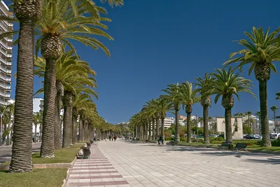 Испания - «Солнечная, яркая, теплая, гостеприимная Испания (Каталония,  Коста-Дорада)» | отзывы