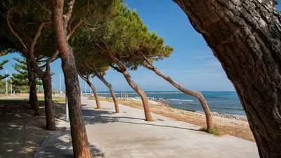 Beach de la Llosa - Cambrils - Camp de Tarragona - Spain | Beachrex.com
