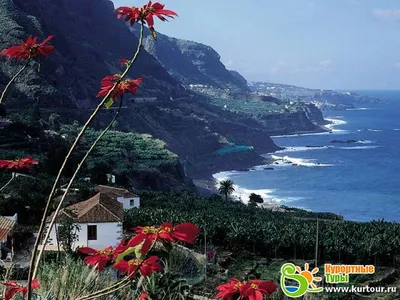 Тенерифе, Канарские острова, Испания: Красочный и красивый городок на  западном побережье острова Стоковое Изображение - изображение насчитывающей  свет, красивейшее: 114366733