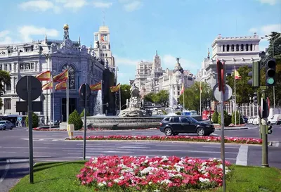Королевский дворец Мадрида. Испания по-русски - все о жизни в Испании