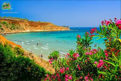 Лучшие пляжи Испании - фото пляжей Испании: самые лучшие и красивые  песчаные пляжи Испании