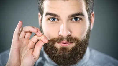 Борода эспаньолка (17 фото): как сделать испанскую бородку