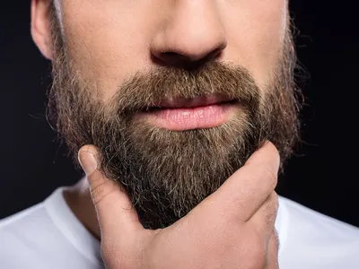 Эксперты рассказали, почему мужчины продолжают отращивать бороду - РИА  Новости, 03.09.2022