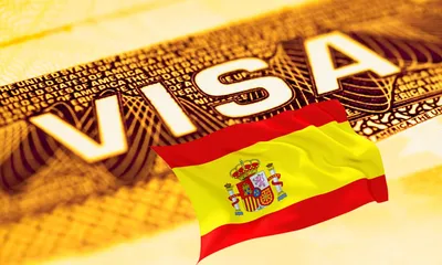 Как читать Шенгенскую визу. Что означает каждый пункт? – Блог Купибилет