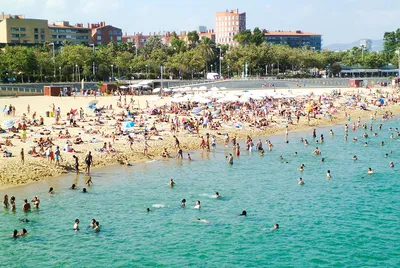 Топ лучших пляжей Испании с названиями и фото: самые красивые популярные и  дикие побережья с белым песком — отдых на море на карте — Barcelona Realty  Group