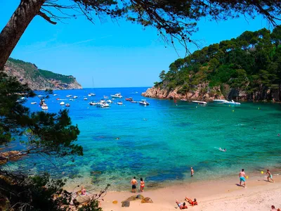 30 лучших пляжей Испании | Весь мир на ладони | Дзен
