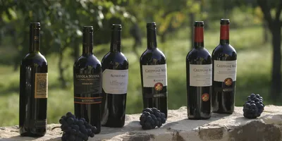 ABC (Испания): испанское вино ценится в России все больше (ABC.es, Испания)  | 07.10.2022, ИноСМИ