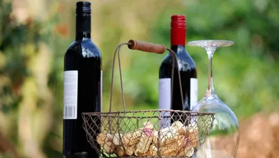 Испанские вина — от жаркого юга до крайнего сервера - Советы сомелье Alcomag