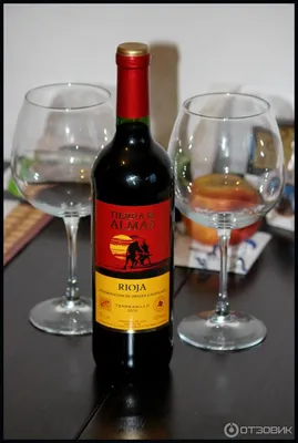 Вино TORO de castilla - «Испанские вина очень хвалят, справедливо ли это?  Вино Toro de Castilla) Будем разбираться)» | отзывы
