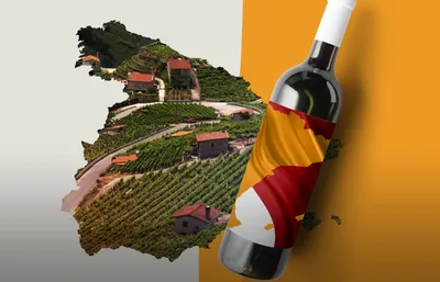 Испанские вина: руководство покупателя
