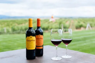 Испанские вина - столетия традиций, изысканность и разнообразие - UniGid.com