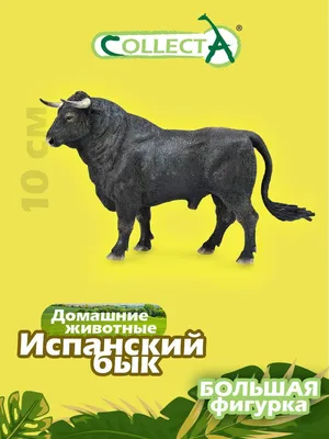 Испанский бык, бегущий на арене булькеров Стоковое Изображение -  изображение насчитывающей развилки, сильно: 161388565