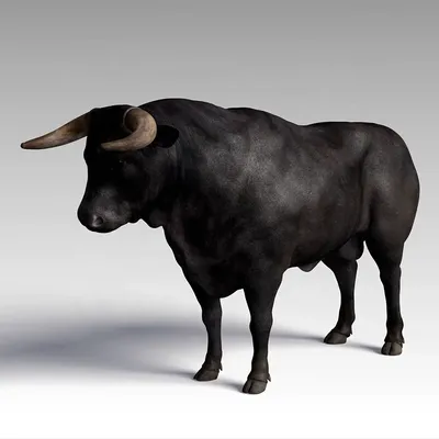 Испанский бык на bullring стоковое фото. изображение насчитывающей актиния  - 26735530
