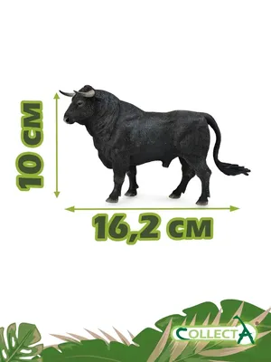 испанский бык с большими рогами Стоковое Фото - изображение насчитывающей  опасно, взволнованность: 214783746