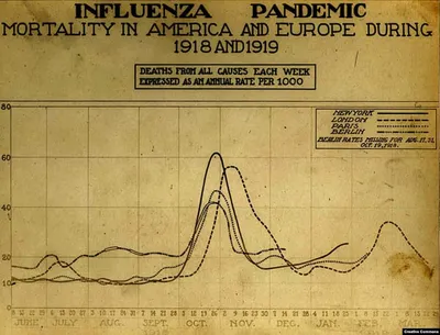 Птичий грипп — Википедия