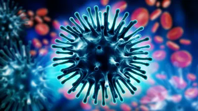 Когда и как закончилась пандемия испанского гриппа - 2 декабря 2020 - 74.ru