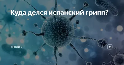 Корона российской инфекции. Эпидемии убили в Гражданскую войну 1918‒1922  годов больше людей, чем боевые действия: исторический обзор — Новая газета