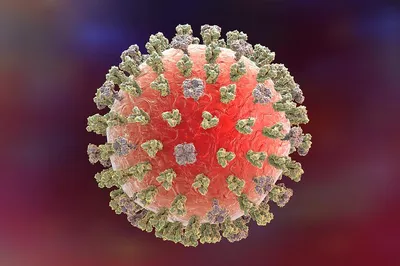 Каким образом закончился испанский грипп? Благодаря вакцине или сам по  себе? | StuDentistry | Дзен
