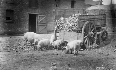 Коронавирус и швейцарские призраки «испанского гриппа» - SWI swissinfo.ch