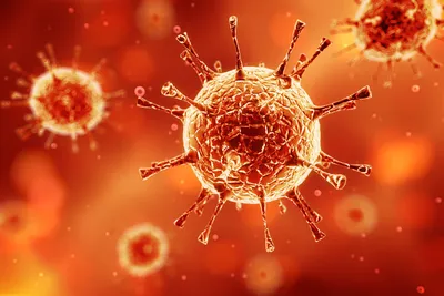 Холера, оспа, 'испанка': самые жуткие пандемии в истории человечества -  ForumDaily