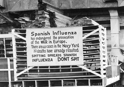 Испанский грипп – смертоноснее, чем война | Radio Prague International