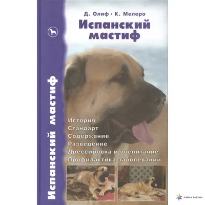 ИСПАНСКИЙ МАСТИФ: Редкие породы собак | Dog People: Собаки и Люди | Дзен