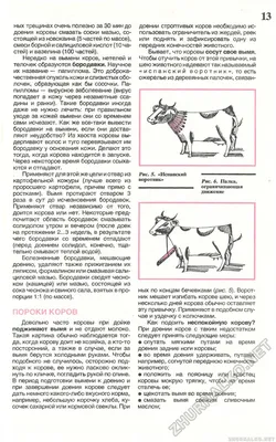 ПОРОКИ КОРОВ - Сделай Сам (Огонек) 1993-04, страница 15