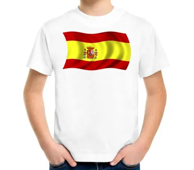 Испанский флаг мужская футболка с коротким рукавом (цвет: серый меланж)