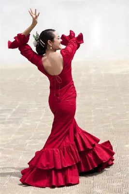Испанские юбки (76 фото): с чем носить и как сшить своими руками, костюм  для фламенко | Платья для фламенко, Испанское платье, Платье для бальных  танцев