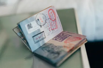 Как оформить шенгенскую визу в Беларуси?