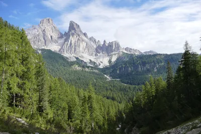 Скачать обои горы, скалы, лес, склон, италия разрешение 1600x900 #8015