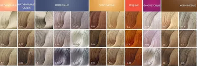 Новые бренды профессиональной косметики для волос Compagnia Del Colore и  Yellow - интернет-магазин Luxmarafet.com