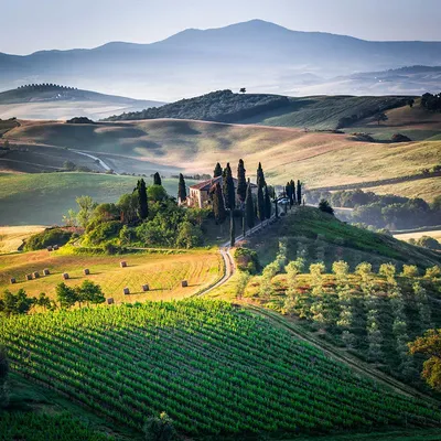 Картина итальянский пейзаж купить напрямую от художника