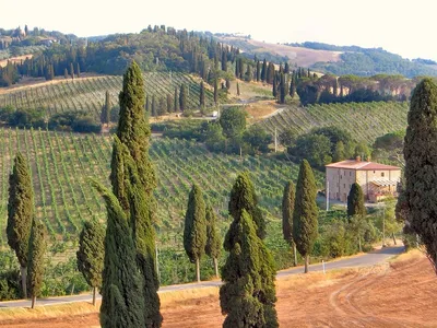 Итальянский пейзаж — современные картины с пейзажами природы из Италии в  интернет-магазине «Декор Тоскана»