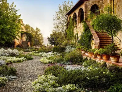 Итальянские сады: какие элементы используем | Татьяна Мамеева | Дзен