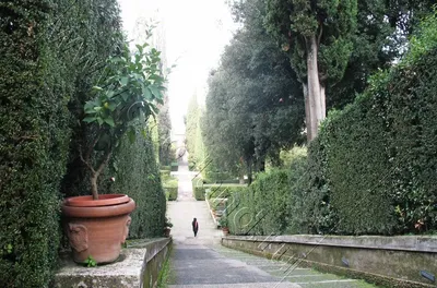 Сады Италии от Помпеи до наших дней