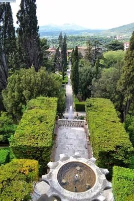 Итальянские сады Семирамиды в эстетике модерна | Юная Клио | Дзен
