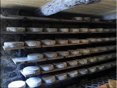 Итальянские сыры - мягкие сорта с плесенью и твердые виды сыров из Италии  купить в Москве | Italian Cheese