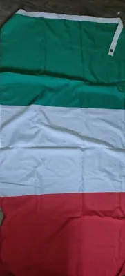 Изолированные Итальянский Флаг, Векторные Иллюстрации Клипарты, SVG,  векторы, и Набор Иллюстраций Без Оплаты Отчислений. Image 61751389