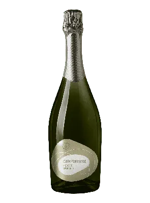 Шампанское из Италии 1.5 л | Купить в Москве итальянское игристое вино 1.5  литра
