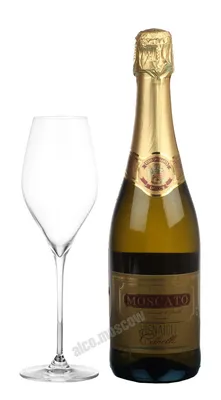 Купить белое брют Игристое вино Conca d'Oro Prosecco Superiore Millesimato  Conegliano Valdobbiadene Brut (gift box) 2020 г 750 мл итальянское Игристое  вино Конка д'Оро Просекко Супериоре Миллезимато Конельяно Вальдоббьядене  Брют (в подарочной