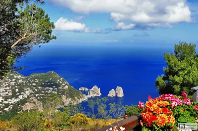 Капри — отличные туры на острова Италии — читайте на «Тонкостях туризма»